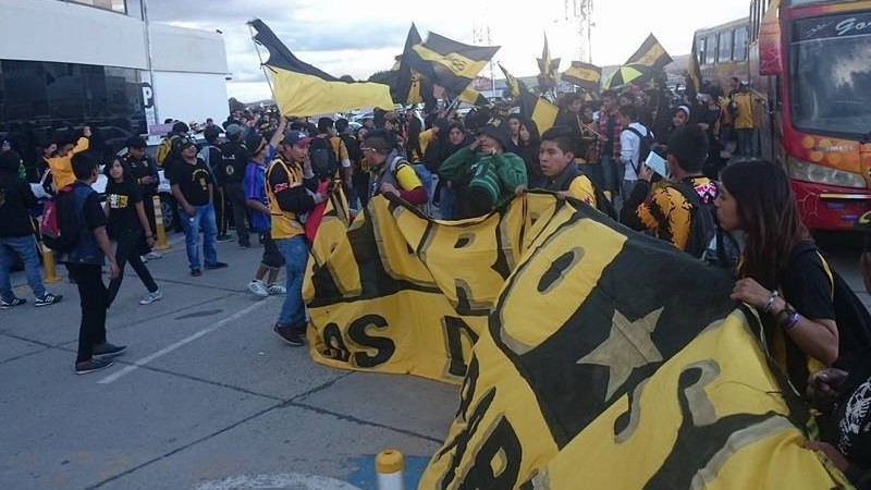 Foto: Hablemos del Tigre